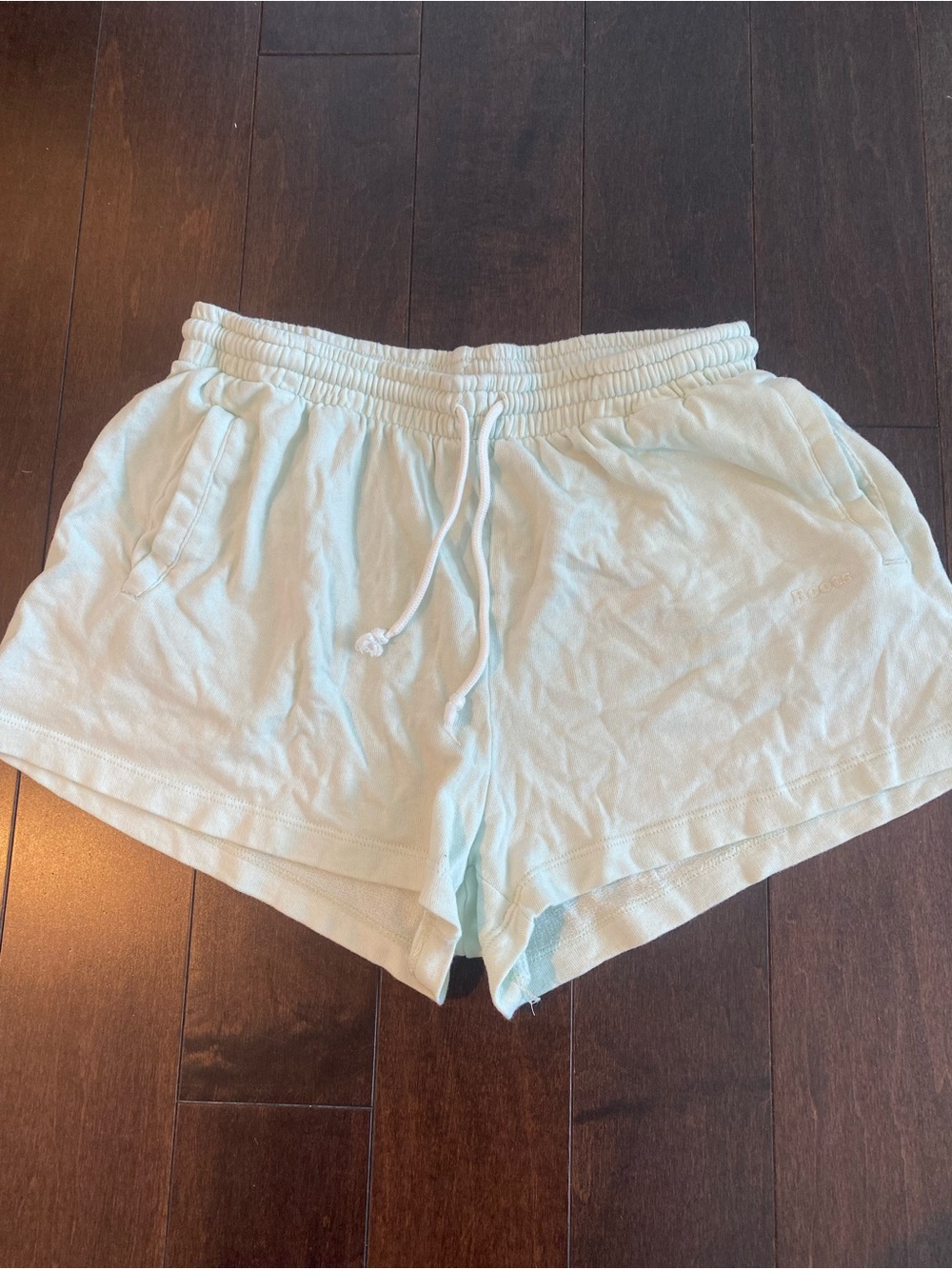 Roots mint sweat shorts